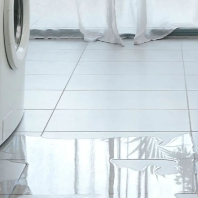 Appliance Leak Cleanup in Glenwood, IL