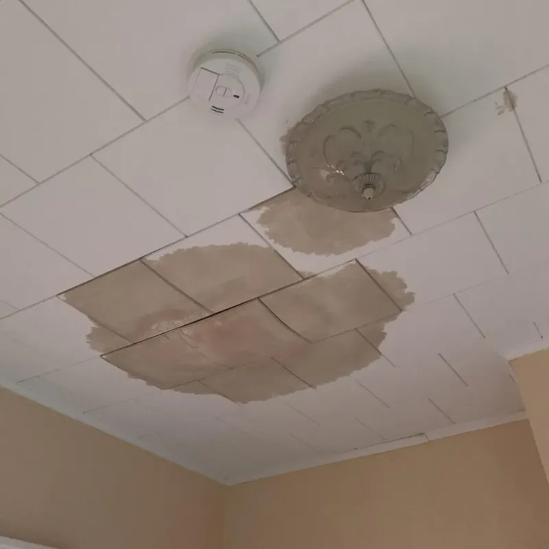 Ceiling Water Damage Repair in Glenwood, IL