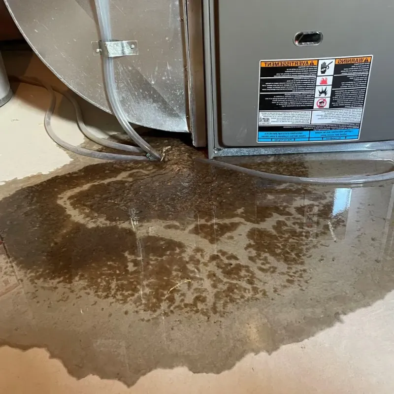 Pipe Burst and Leak Restoration in Glenwood, IL
