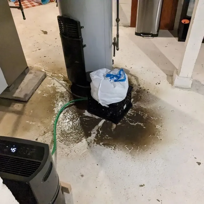 Sewage Backup Cleanup Service in Glenwood, IL